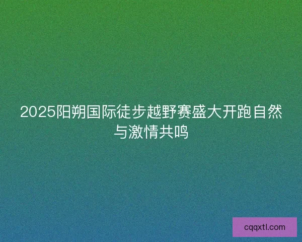 2025阳朔国际徒步越野赛盛大开跑自然与激情共鸣
